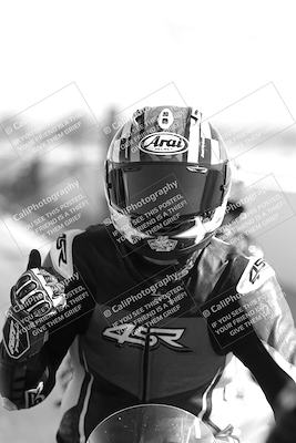 media/Feb-23-2025-2WTD (Sun) [[9604a77d5d]]/1-Around the Pits/
